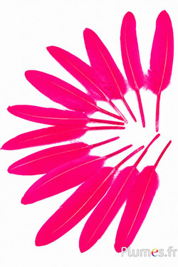 Gans - 10-15 cm - fuchsia